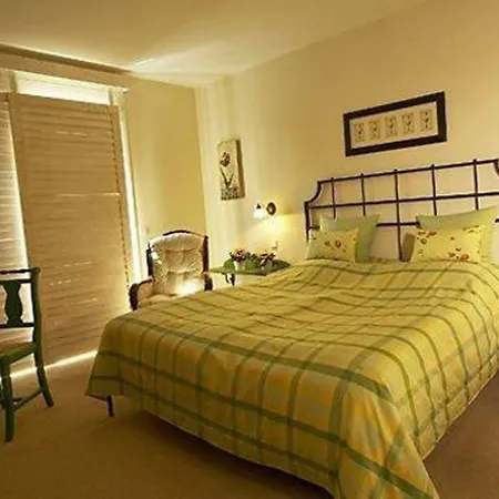 Otel Hirschen In Freiburg-lehen 4*