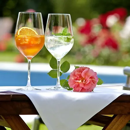 Otel Hirschen In Freiburg-lehen Freiburg im Breisgau