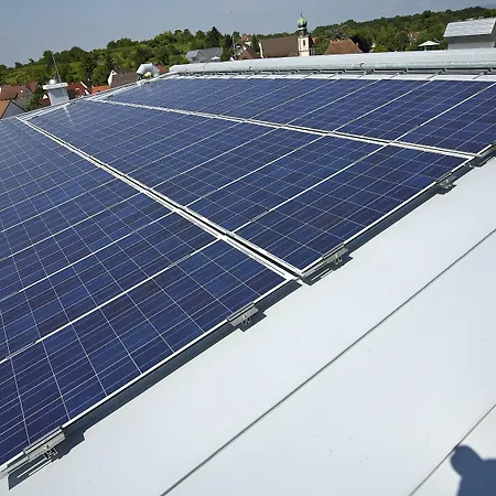 Hirschen In Freiburg-lehen Freiburg im Breisgau