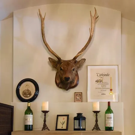 Hirschen In Freiburg-lehen Otel 4*