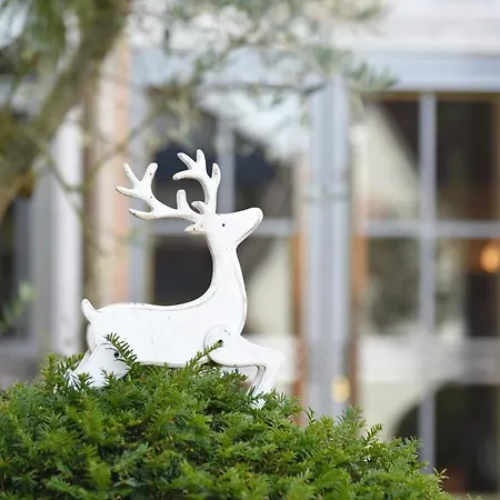 Hirschen In Freiburg-lehen Hotel 4*