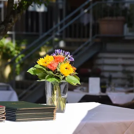 Hirschen In Freiburg-lehen