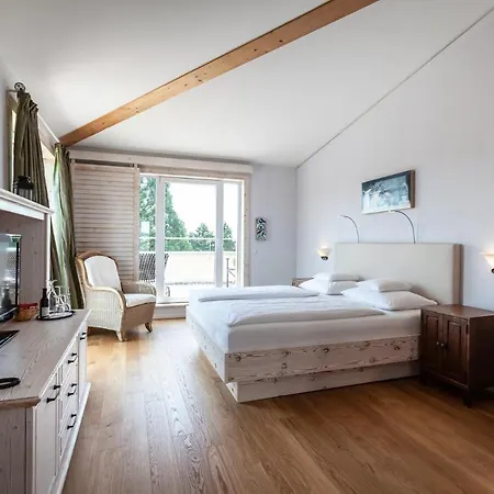 Otel Hirschen In Freiburg-lehen 4*