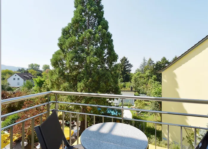 Hirschen In Freiburg-lehen 4*