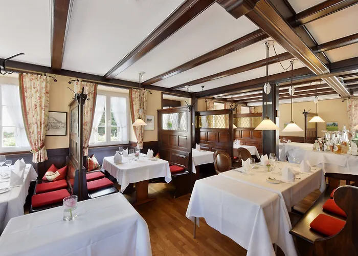 Hotel Hirschen In Freiburg-lehen 4*