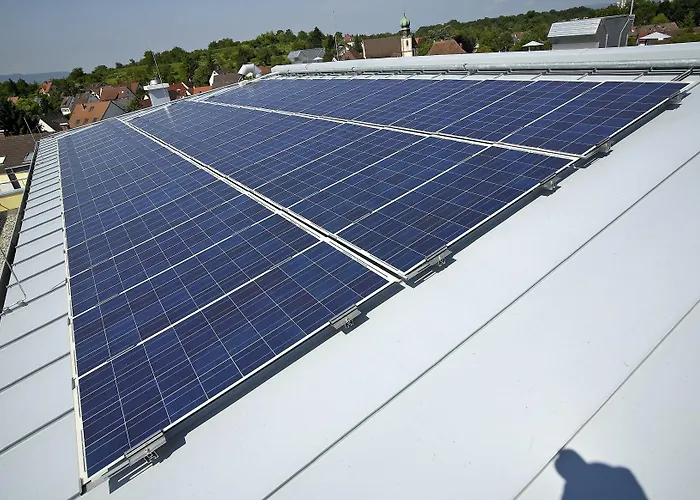 Hirschen In Freiburg-lehen Freiburg im Breisgau