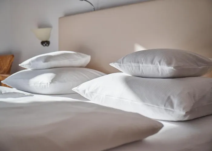 Hirschen In Freiburg-lehen 4* Freiburg im Breisgau