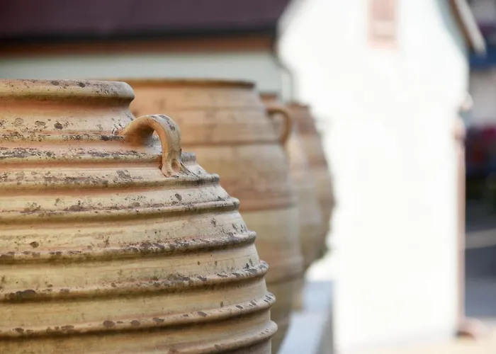 Hirschen In Freiburg-lehen Freiburg im Breisgau