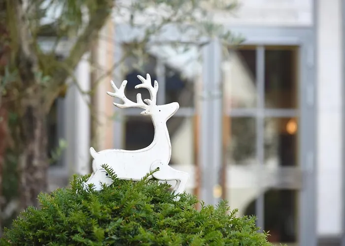 Hirschen In Freiburg-lehen Hotel 4*