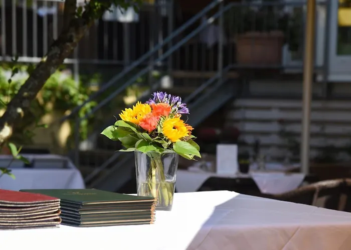 Hirschen In Freiburg-lehen