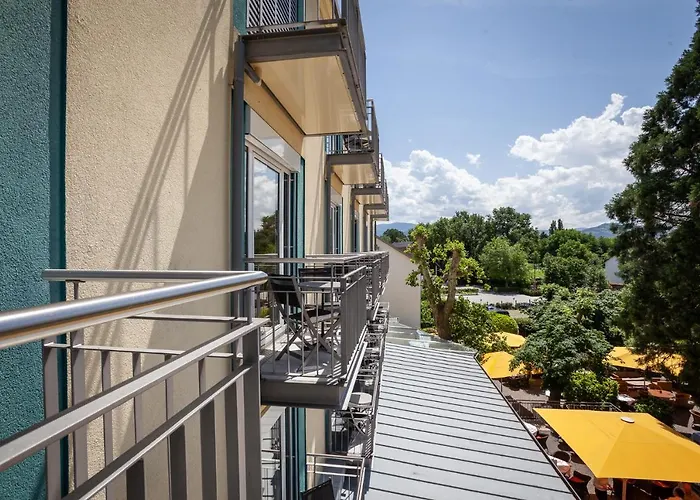 Hirschen In Freiburg-lehen